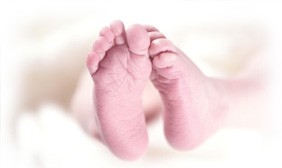 About the Baby Bank
